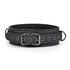 Fetish halsband met riem_