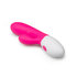 Aurora Vibe Rabbit Vibrator_